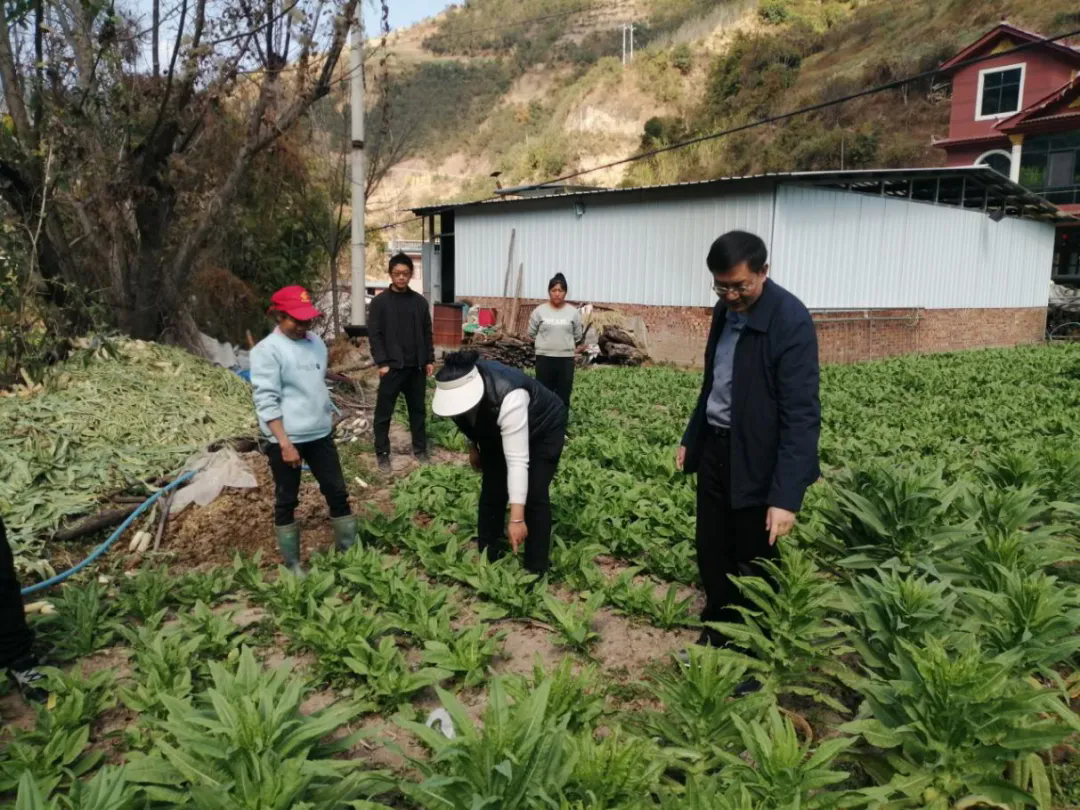 楚雄州住房城乡建设局到定点帮扶村开展“春节”走访慰问活动